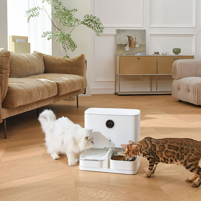 Automatic Feeding 6L Pet Feeder And Water Dispenser LCD Display For Cats / Dogs 0