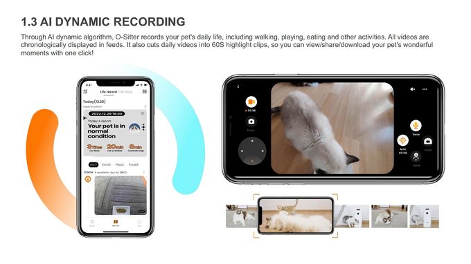 Self Charging Moving Pet Companion Robot For Cat With App / Security Camera OEM 1